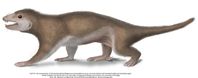Lebendrekonstruktion von Megaconus mammaliaformis: An den Hinterläufen verfügte das Tier über giftig
Quelle: Grafik: April M. Isch/University of Chicago (idw)