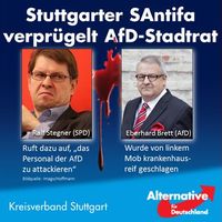 Mitglieder und Anhänger der AfD werden zwischenzeitlich wie Juden im 3. Reich verfolgt und Mord wird billigend in Kauf genommen.