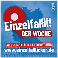 Bild: AfD Deutschland