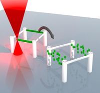 Lasergeschriebene dreidimensionale Mikrostrukturen löschen. Bild: kit.edu