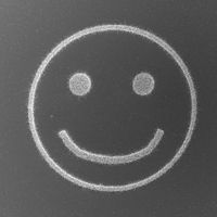 Ein Smiley aus Silizium-Nanodrähten
Quelle: TU Wien (idw)