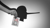 Wahlbetrug (Symbolbild) Bild: Legion-media.ru