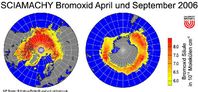 Abb. 1: Verteilung des bodennahen Bromoxids im polaren Frühjahr 2006 (links: April 2006, rechts: September 2006). Die Verteilung wurde aus Messungen des Satelliteninstruments SCIAMACHY berechnet und zeigt stark erhöhte Bromoxid-Konzentrationen über Meereis und in Küstennähe.