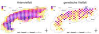 Vergleich der Artenvielfalt mit der genetischen Vielfalt von Pflanzenarten im Alpenraum.
Quelle:  (idw)