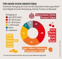 BUND und Heinrich-Böll-Stiftung: Insektenatlas 2020, S. 13. Bild: "obs/BUND"