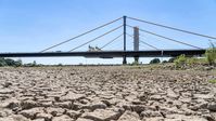 Rhein bei Duisburg, extremes Niedrigwasser, Rheinpegel bei 168 cm, 12.08.2022