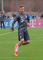 Joshua Kimmich (2017)