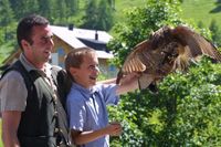 Bild: obs/Schweiz Tourismus