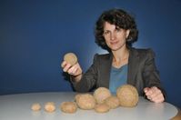 Professorin Dr. Katharina Kilian-Yasin, Projektleiterin, mit "Seebällen", die aus abgestorbenen Teil
Quelle: Hochschule Pforzheim (idw)