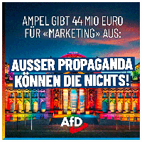 Bild: AfD Deutschland