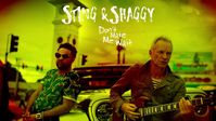 Shaggy und Sting