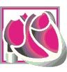 Logo von Deutsche Gesellschaft für Kardiologie
