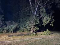 Bild: Kibben, Feuerwehr