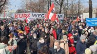 Demo in Wien am 31.01.2021 Bild: Wochenblick