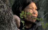 Die unkontaktierten Verwandten dieser Ayoreo-Frau sind durch Abholzung bedroht. Bild: Survival