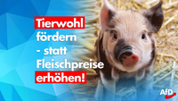 Bild: AfD Deutschland