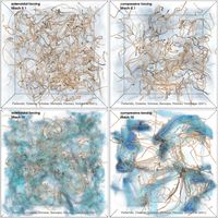 Die Abbildung zeigt die turbulenten Magnetfeldstrukturen in vier Computermodellen, die extrem unterschiedliche physikalische Bedingungen repräsentieren. Das Innere der Sonne ist beispielsweise nur wenig komprimierbar und durch Unterschallströmungen bestimmt (oben links), wohingegen das Plasma des frühen Universums vermutlich durch starke Kompressionen und Überschallturbulenz dominiert wurde (unten rechts). Abbildung: Dr. Christoph Federrath, Institut für Theoretische Astrophysik