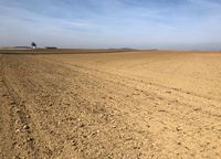Agrarwüste in Deutschland: Dank jahrzentelanger trockenlegung von Wasserspeichern (Moore, Sümpfe, Auen) ist nun oft zu wenig Wasser in der Landschaft (Symbolbild)