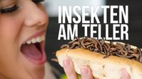 Bild: SS Video: "Insekten am Teller – da steckt der Wurm drin" (www.kla.tv/25016) / Eigenes Werk