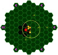 In dem Experiment wurden monetäre Anreize zu Gruppenkohäsion und zielgerichtetem Verhalten gegeben. Die roten und gelben Kreise zeigen verschiedene Streuungsgrade der Spielerpositionen an.