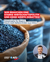 Bild: AfD Deutschland