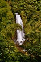 Regenwälder werden immer weiter zurückgedrängt. Bild: W. Weitlaner/Dominica