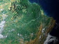 Regenwald am Amazonas: Artenvielfalt in Gefahr. Bild: pixelio.de, Dieter Schütz