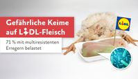 Bei einer Untersuchung von Lidl-Hühnerfleisch wurden auf 71% der Proben antibiotikaresistente Keimen nachgewiesen. Von 51 Proben aus acht Städten in fünf Bundesländern wurden nur auf sechs keinerlei Krankheitserreger gefunden.