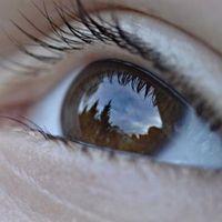 Auge: Anstrengung bei Pupillen sichtbar. Bild: pixelio.de, Olaf Barth