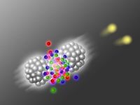 Zwei Blei-Atome kollidieren. Dabei entsteht ein Quark-Gluon-Plasma, das ultrakurze Lichtpulse aussenden kann.
Quelle: F. Aigner / TU Wien (idw)