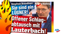 Bild: AfD Deutschland