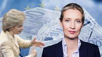 Dr. Alice Weidel (2020)