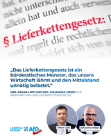 Bild: AfD Deutschland