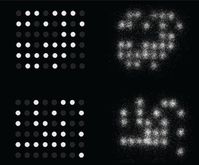 Das gewünschte Muster (links) und wie die DNA unter dem Mikroskop aussah (rechts). Bild: Nucleic Acid Memory Institute an der Boise State University / UM / Eigenes Werk