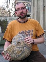 Kenneth De Baets mit ausgewachsenem Manticoceras (Oberdevon, Marokko): einer der grössten Ammoniten der Devonzeit.
Quelle: Bild: Christian Klug (idw)