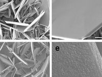 Beschichtete und unbeschichtete Vanadiumdisulfid-Teilchen.