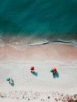 Bild: unsplash.com Fotograf: Alex Perez