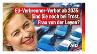 Bild: AfD Deutschland