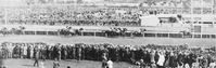 Phar Lap kurz vorm Sieg des Melbourne Cup im Jahr 1930. Bild: dts Nachrichtenagentur