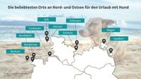 Infografik - Die beliebtesten Orte an Nord- und Ostsee für den Urlaub mit Hund