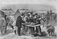 Zeitgenössische Darstellung des Demonstrationsversuchs zur Milzbrandimpfung, den Pasteur in Pouilly-le-Fort unternahm