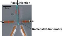 Die Versuchsanordnung im Rahmen der Experimente