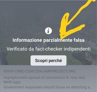Faktenprüfer von Facebook markieren die Nachricht einer Faktenprüferin der italienischen Regierung als „Fake News“