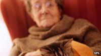 Ältere Frau: Sterberisiko steigt deutlich bei Vereinsamung. Bild: SPL