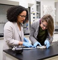 Senesky (links) und eine Studentin im Labor. Bild: stanford.edu, Cicero
