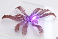 3D-gedruckte "Spinne" aus metallischer Legierung (Foto: North Carolina State University)