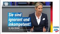 Bild: AfD Deutschland