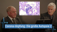 Bild: Screenshots Pathologie-Konferenz; Komposition Wochenblick/Eigenes Werk