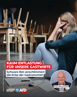 Bild: AfD Deutschland