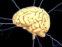 Gehirn: weiterer Risikotyp für Alzheimer.